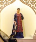 Kashmir Embroidered Exquisite Suit