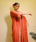 Shimmer-Brocade Tissue Salwar Suit