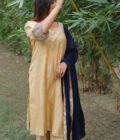 Silk Simplicity: Embroidered Dola Suit