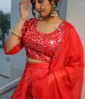 Red Regalia Silk Organza Lehenga