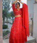 Red Regalia Silk Organza Lehenga